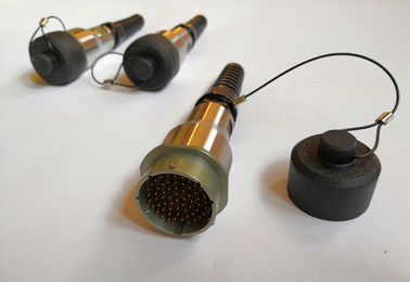 Cable connecteur séismique d'OEM avec le connecteur masculin de jonction de bouchon anti-poussière/61 bornes